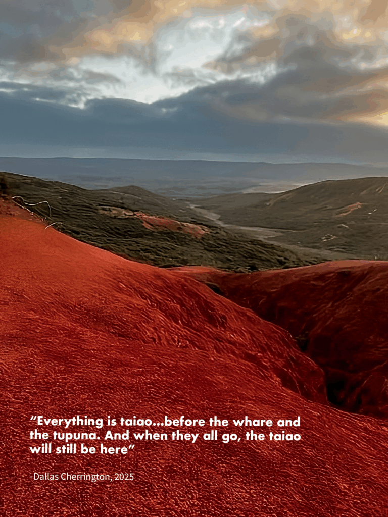 Dallas Red Hill